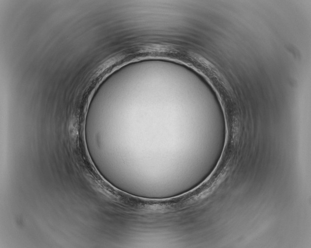 X0000112821017200909041510