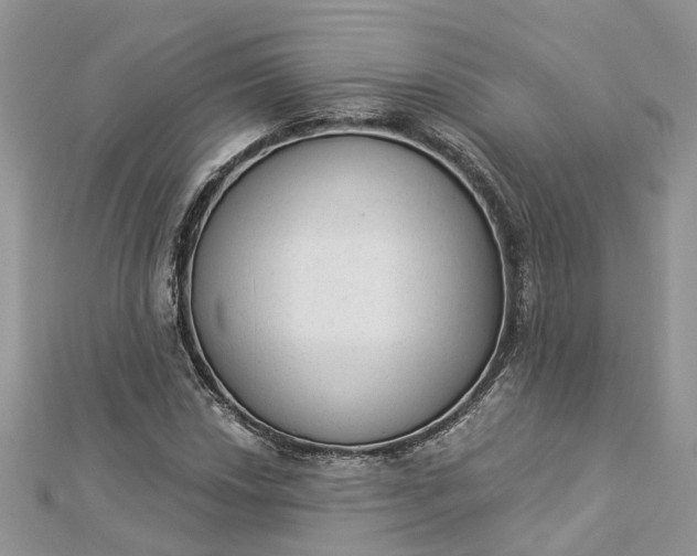 X0000112821018200909041510