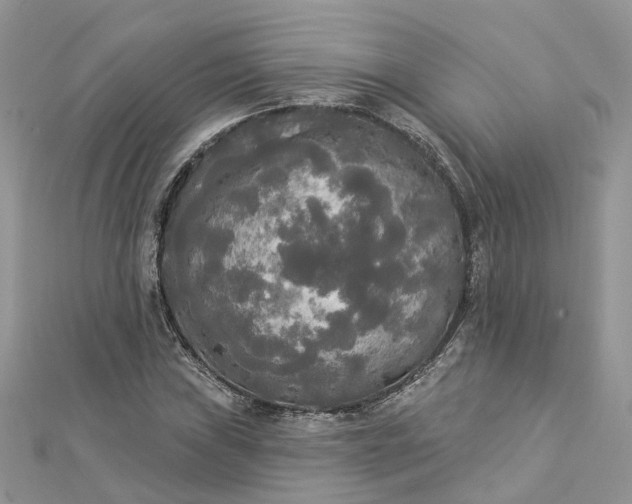 X0000112821019200909041510