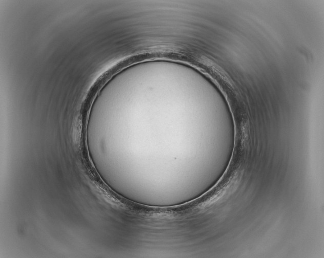 X0000112821021200909041510