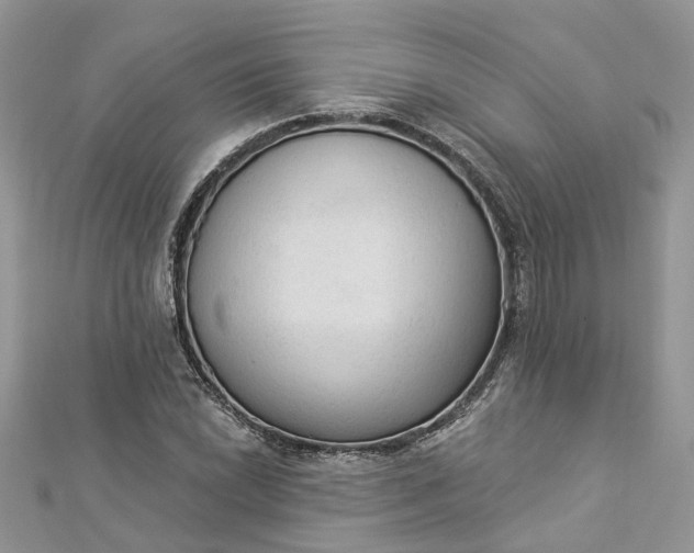 X0000112821022200909041510