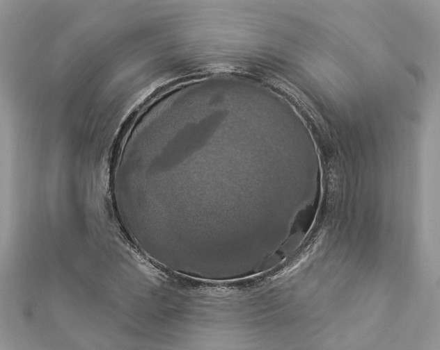 X0000112821023200909041510