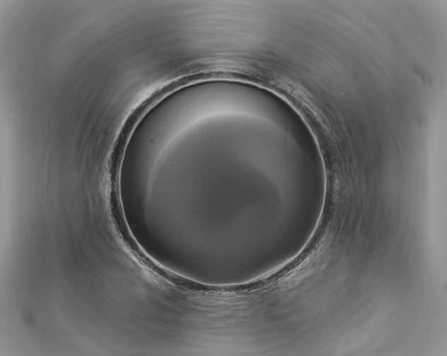 X0000112821024200909041510