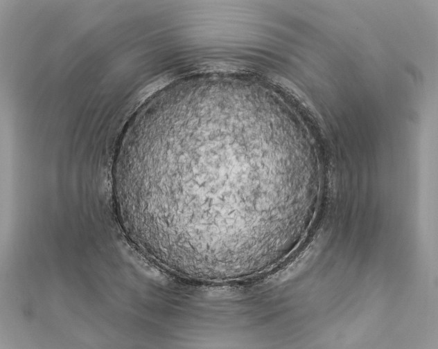 X0000112821025200909041510