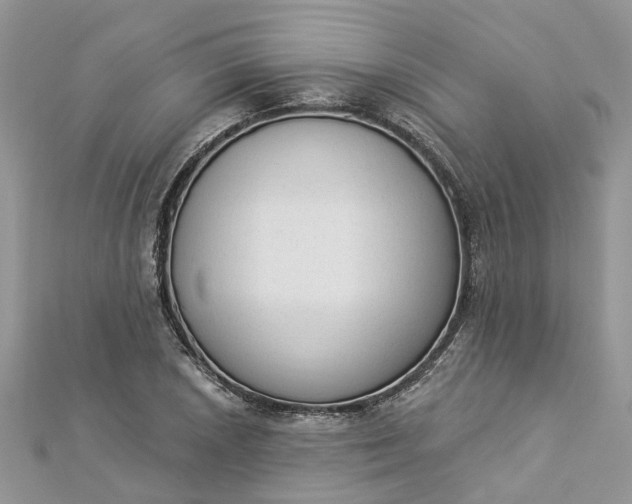 X0000112821026200909041510