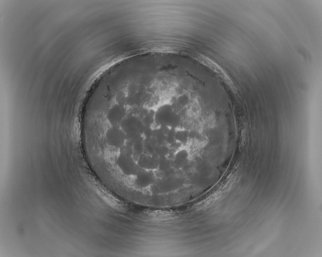 X0000112821027200909041510