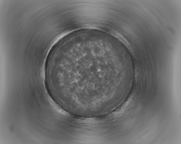 X0000112821028200909041510