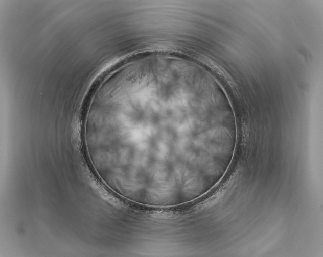 X0000112821029200909041510