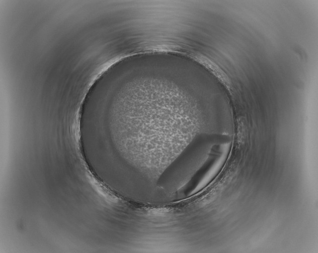 X0000112821031200909041510