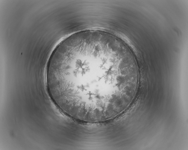 X0000112821032200909041510