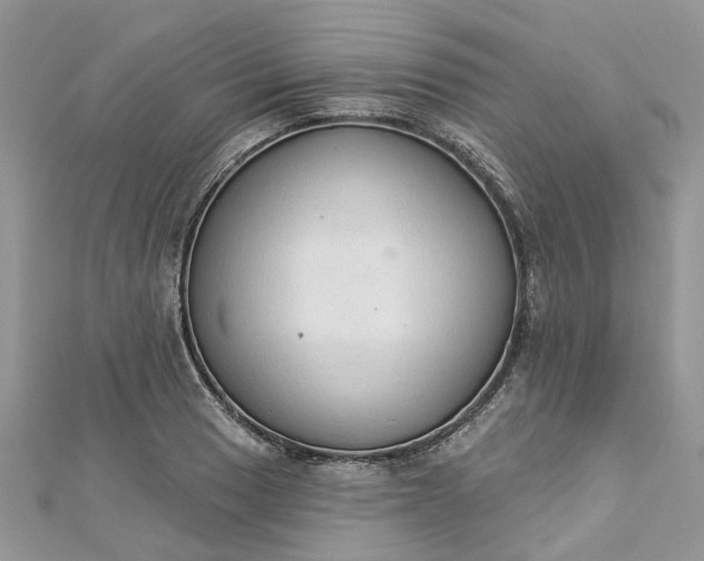 X0000112821033200909041510