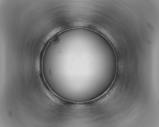 X0000112821034200909041510