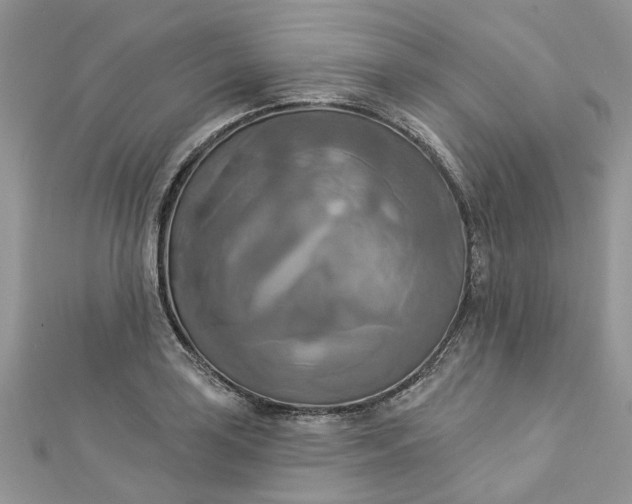 X0000112821035200909041510