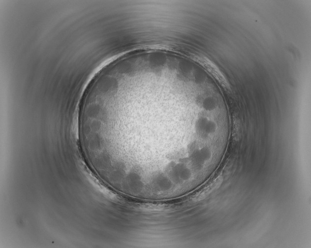 X0000112821036200909041510