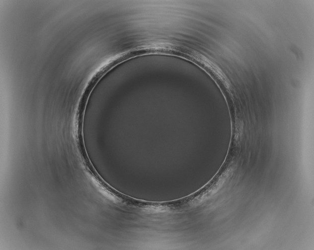 X0000112821037200909041510