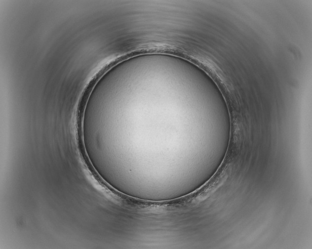 X0000112821038200909041510