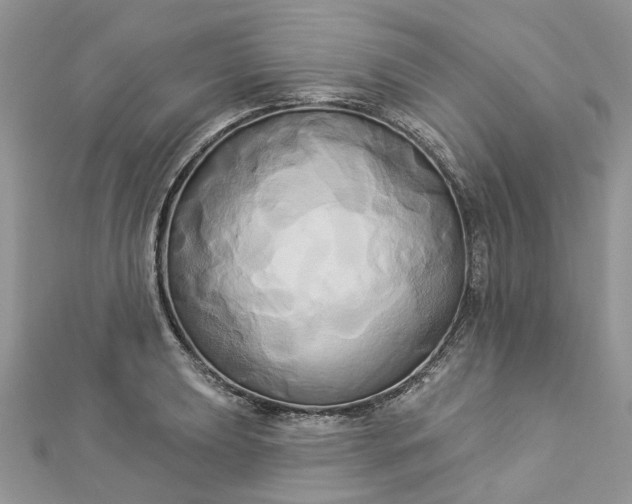 X0000112821039200909041510