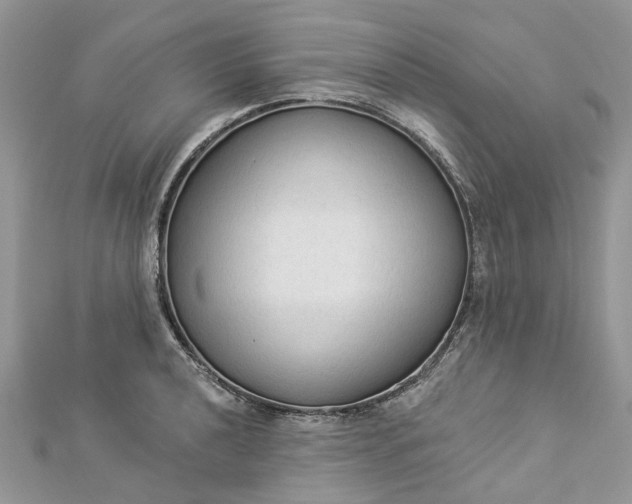 X0000112821040200909041510