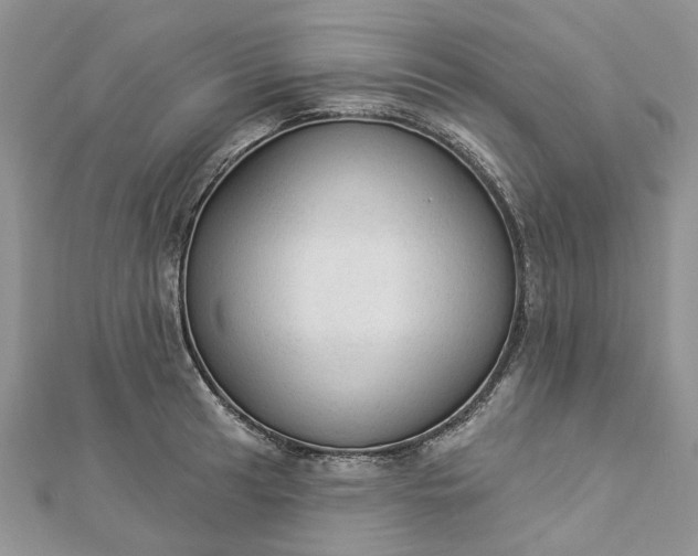 X0000112821041200909041510