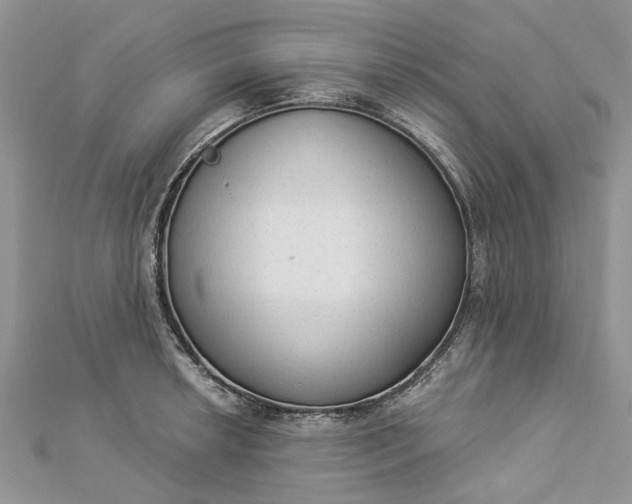 X0000112821042200909041510