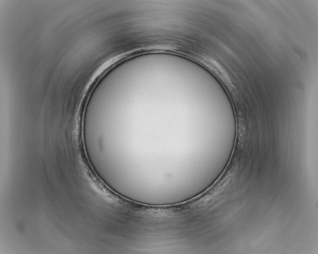 X0000112821044200909041510