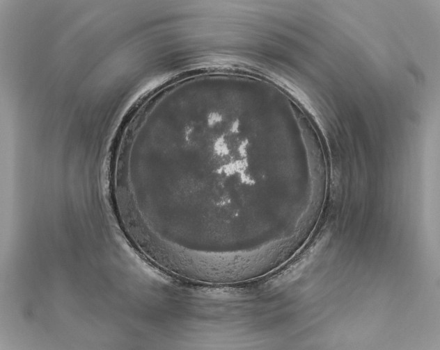 X0000112821045200909041510