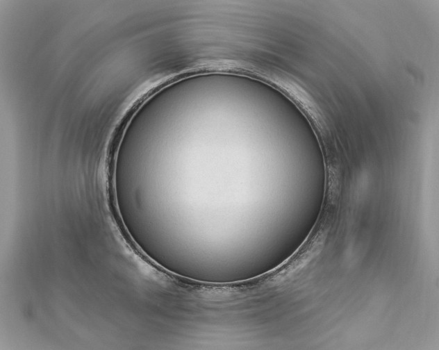 X0000112821046200909041511