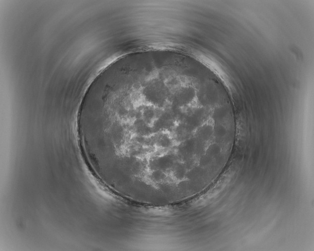 X0000112821047200909041511