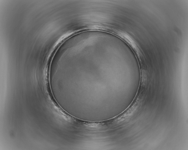 X0000112821048200909041511