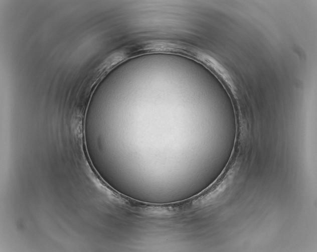 X0000112821049200909041511