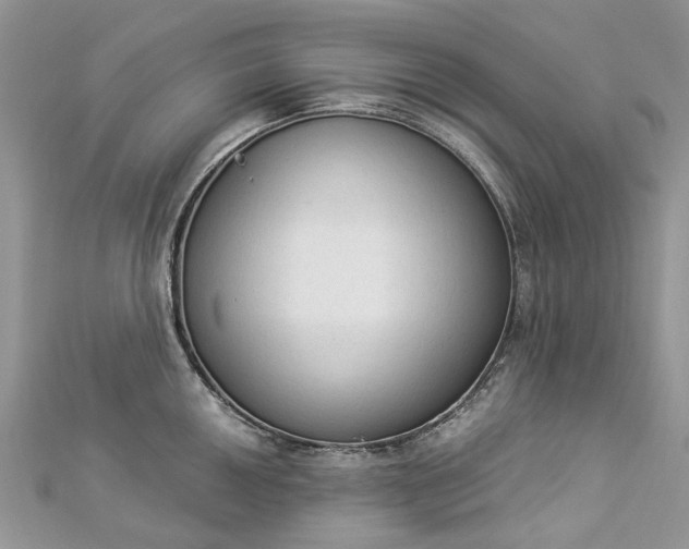 X0000112821050200909041511