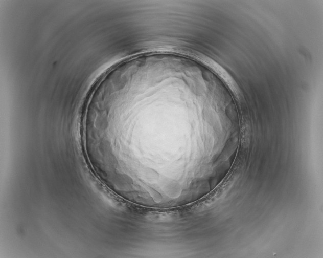 X0000112821051200909041511