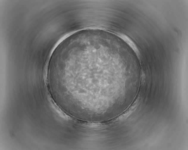 X0000112821052200909041511