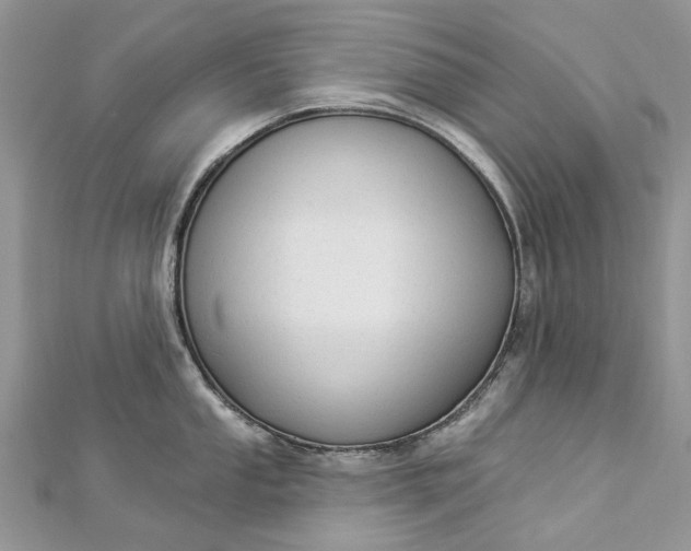 X0000112821053200909041511