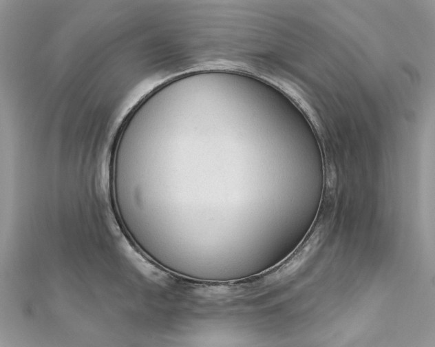 X0000112821054200909041511