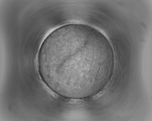 X0000112821056200909041511