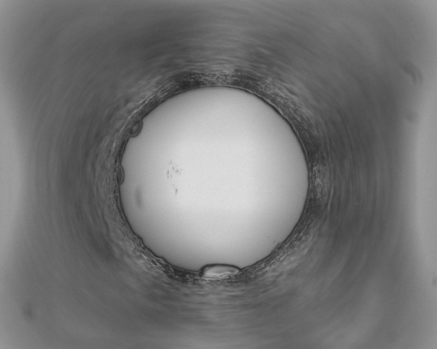 X0000112821057200909041510