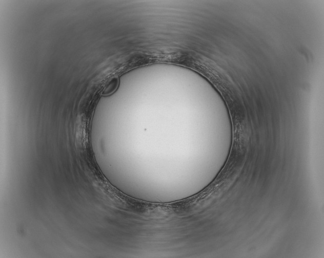 X0000112821058200909041510