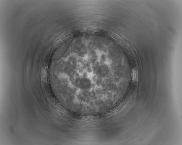 X0000112821059200909041510