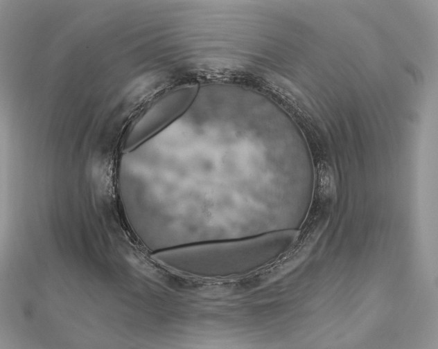 X0000112821060200909041510