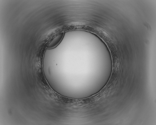 X0000112821062200909041510