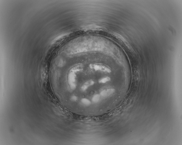 X0000112821063200909041510