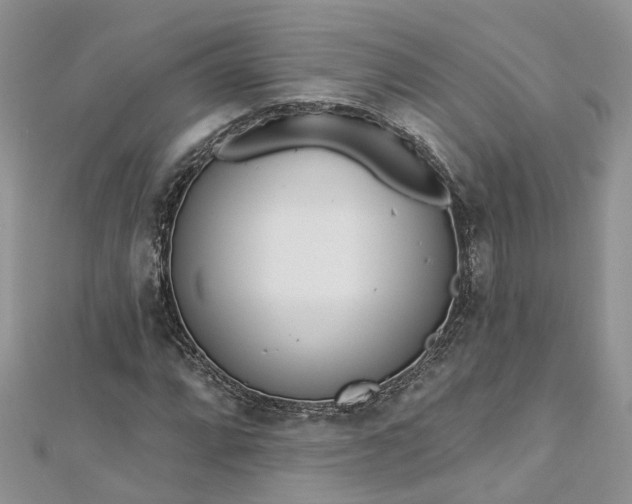 X0000112821064200909041510