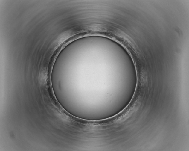 X0000112821065200909041510