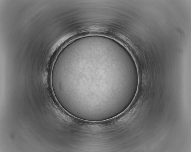 X0000112821066200909041510