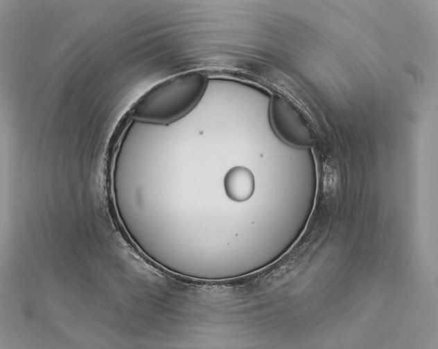 X0000112821068200909041510