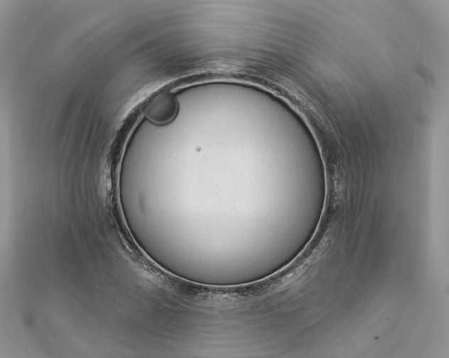 X0000112821070200909041510