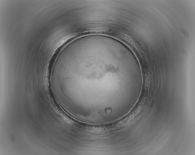 X0000112821071200909041510