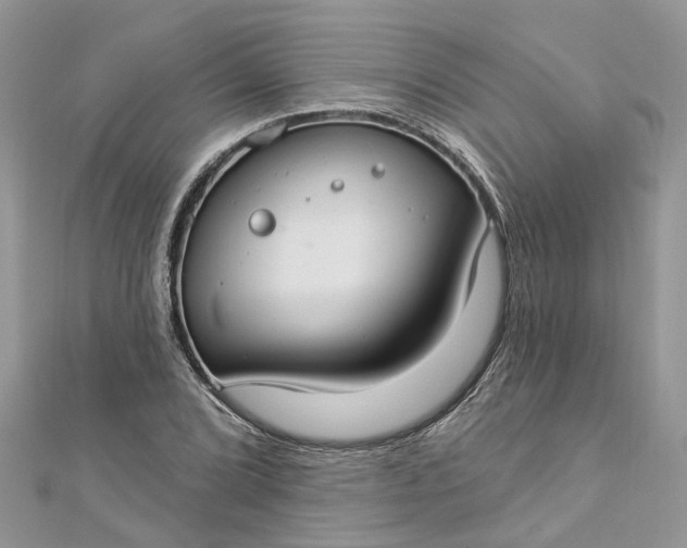 X0000112821072200909041510