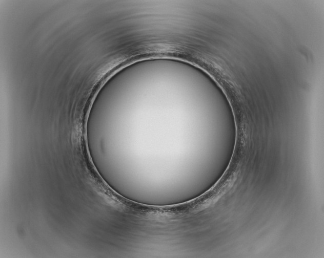 X0000112821073200909041510